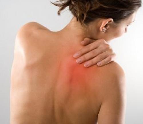 Мазь для спины со змеиным ядом. Мази на основе змеиного яда для суставов