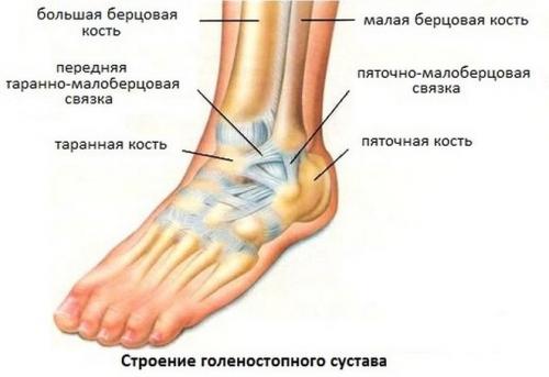 Растяжение связок голеностопного сустава лечение. Растяжение связок голеностопного сустава: лечение, причины, симптомы, полное описание травмы