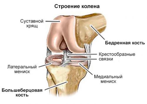 Дегенеративные изменения заднего рога медиального мениска 2 степени. Дегенеративные изменения менисков: заднего рога, медиального, 4 степени патологии