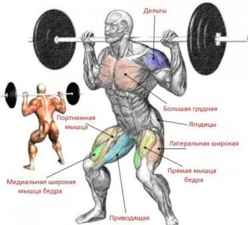Программа приседаний со штангой. Приседания со штангой (программа тренировок)