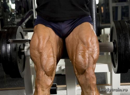 Программа на приседания со штангой русский цикл. Пауза между подходами во время приседаний со штангой