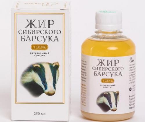 Как правильно употреблять барсучий жир. Польза и вред барсучьего жира