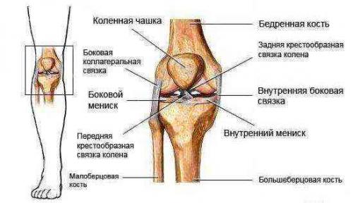 Как долго восстанавливаются связки колена. Растяжение связок коленного сустава сроки восстановления
