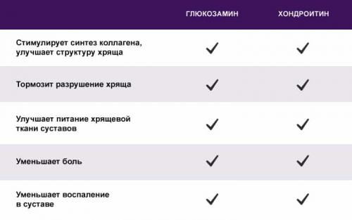 Глюкозамин хондроитин. Фармакологические свойства
