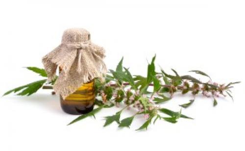 Лекарства для укрепления сердечной мышцы и сосудов. 6 домашних средств для здоровья сердца