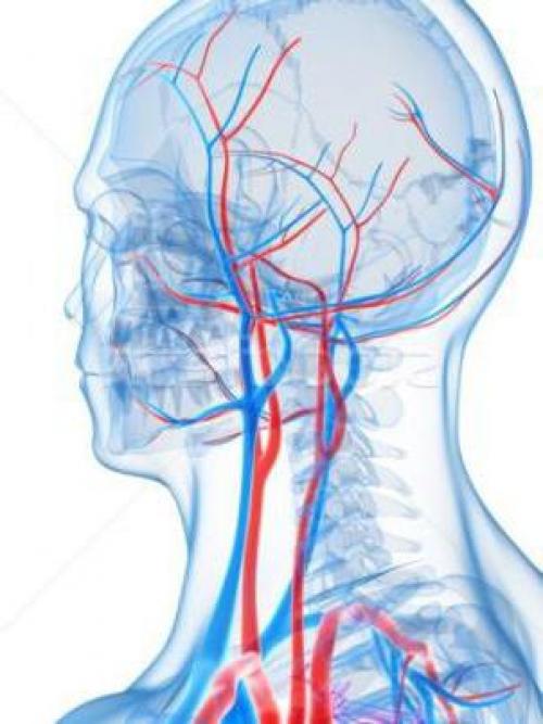 Лекарства для укрепления суставов. Хондропротекторы 02