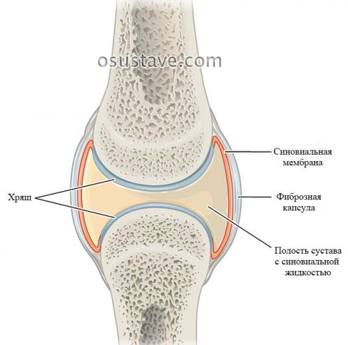 Обязательна ли операция при разрыве заднего рога медиального мениска. Виды повреждений мениска коленного сустава: их обзор, степени, симптомы и лечение