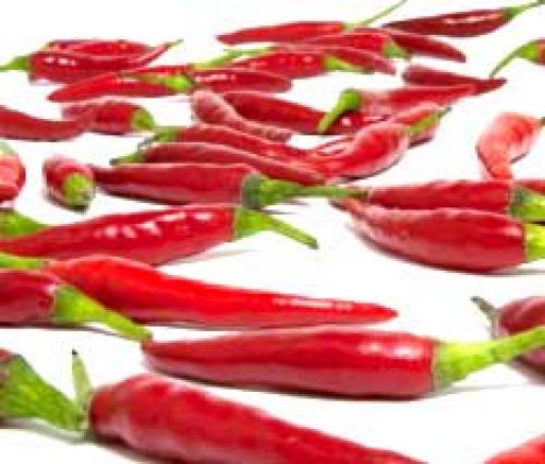 Мазь из красного перца своими руками. Перцовая растирка для суставов