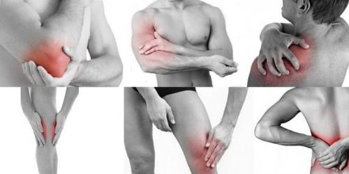 Как определить болит сустав или мышца. Почему могут болеть суставы и мышцы