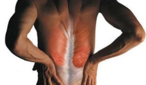 Боль в мышцах и суставах, что делать. Почему могут болеть суставы и мышцы 04 Боль в мышцах и суставах, что делать. Почему могут болеть суставы и мышцы 04