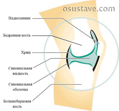 Рассасывается ли киста Бейкера. Обзор кисты Бейкера коленного сустава: причины, симптомы и лечение