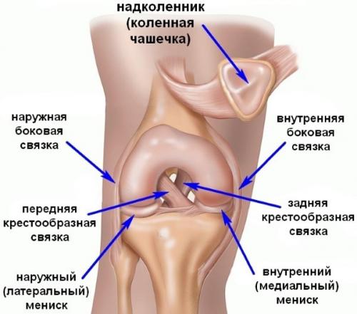 Полный разрыв передней крестообразной связки колена сроки восстановления. Разрыв крестообразной связки колена — сроки восстановления и реабилитация после операции (пластики)