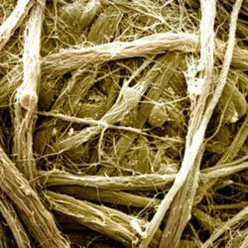 Желатин для связок. Препараты для суставов и связок: желатин или коллаген?