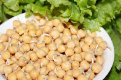 Можно ли есть нут сырым. Что такое нут