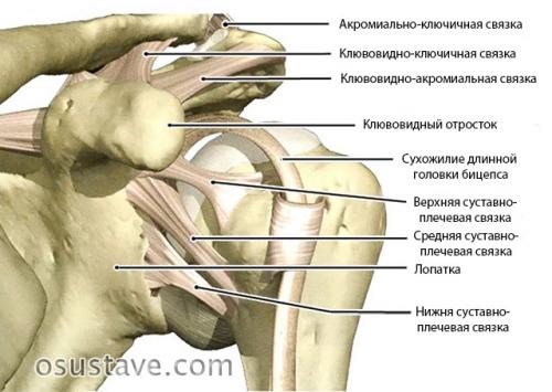 Упражнения при растяжении плечевого сустава. Причины растяжения связок плечевого сустава, симптомы, как лечить
