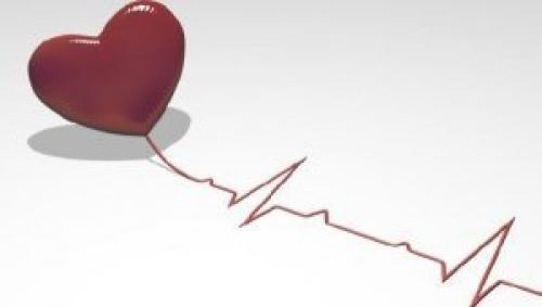 Кардио на массе, как лучше. Кардио на массонаборе: когда, как и зачем