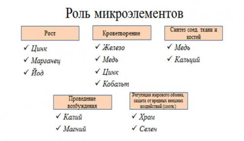 Таблица макро и микроэлементов в организме человека. Значение микроэлементов. Их роль для организма человека.