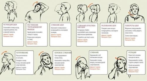 Повседневные упражнения при шейном остеохондрозе. Шея