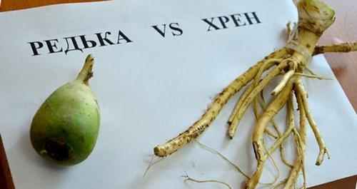 Лечение суставов рук в домашних условиях. Наружное воздействие