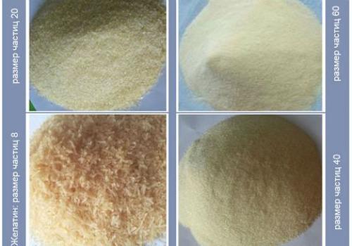 Можно ли для суставов пить желатин. Желатин для суставов: миф или реальная помощь при травмах в спорте?