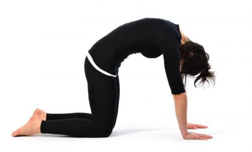 Упражнения при остеохондрозе грудного отдела позвоночника. Конкретные техники