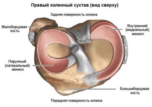 Болит коленка и хрустит при сгибании. Опасные для здоровья причины
