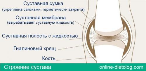 Восстановление хрящей в суставах народными средствами. Восстановление хрящевой ткани коленного сустава: возможно или нет 01 Восстановление хрящей в суставах народными средствами. Восстановление хрящевой ткани коленного сустава: возможно или нет 01