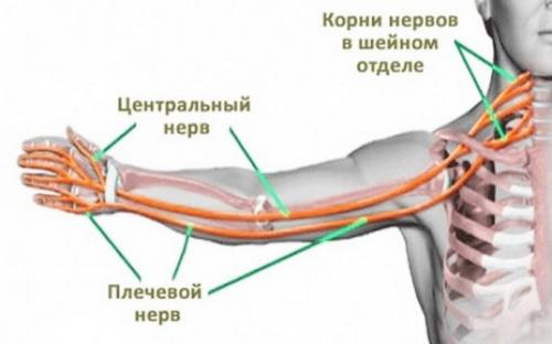 Немеет правая рука к какому врачу обратиться. Провоцирующие факторы