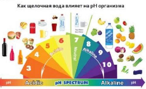 Кислая среда. Понятие о кислотности среды