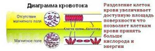 Чистка суставов при артрозе. Нетрадиционные методы лечения суставов