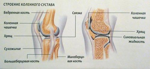 Болит суставной хрящ колена. Боль в коленном суставе: причины, лечение, почему болят колени, что с этим делать, как и чем их лечить