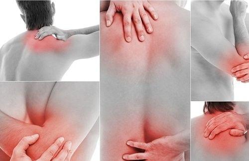 Лечение суставов кленовыми листьями рецепт из зож. Лечение суставов кленовыми листьями: помогает или нет? Рецепты и советы