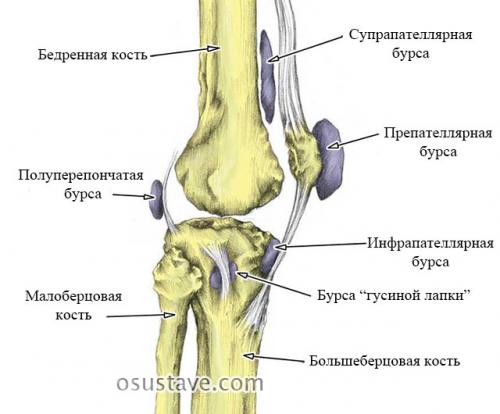 Киста Бейкера исчезла. Обзор кисты Бейкера коленного сустава: причины, симптомы и лечение