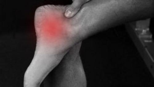 Узи голеностопного сустава. Ультразвуковое исследование голеностопного сустава