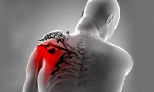 Боль в плечевом суставе и в локтевом суставе. Двуглавая мышца плеча: функции 11 Боль в плечевом суставе и в локтевом суставе. Двуглавая мышца плеча: функции 11