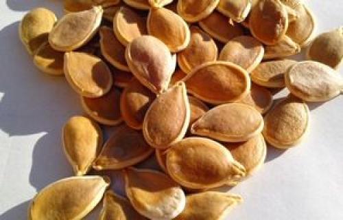 Для чего полезна тыква для печени и желчного пузыря. Полезна ли тыква для печени и желчного пузыря и как ее употреблять правильно?