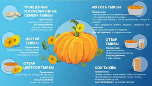 Для чего полезна тыква для печени и желчного пузыря. Полезна ли тыква для печени и желчного пузыря и как ее употреблять правильно?