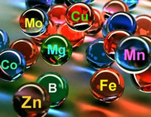 Сводит мышцы бедра, что делать. Сводит мышцы ног в ляшках –, что делать при судорогах бедра
