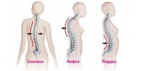 Что такое туторы. Тутор —, что это такое? 09