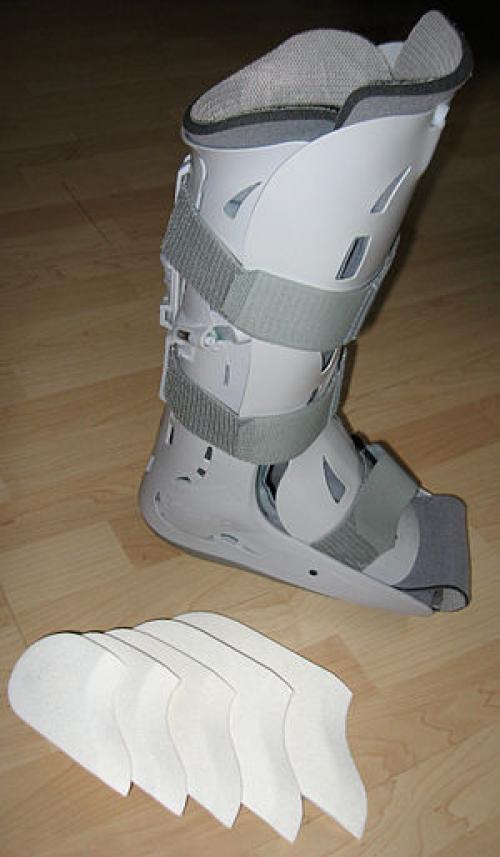 Что такое туторы. Тутор —, что это такое? 04