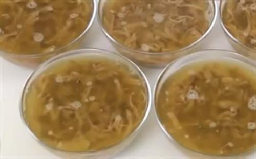 Холодец из говяжьей лытки. Холодец из говядины без желатина