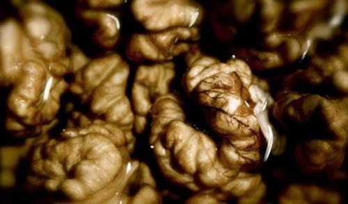 Чем питается мозг. Какое питание способно усилить работу мозга