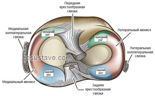 Травма мениска. Виды повреждений мениска коленного сустава: их обзор, степени, симптомы и лечение