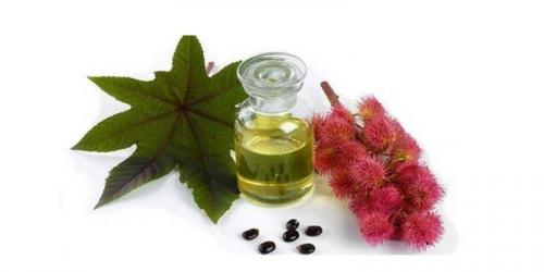 Касторовое масло внутрь. Польза касторового масла