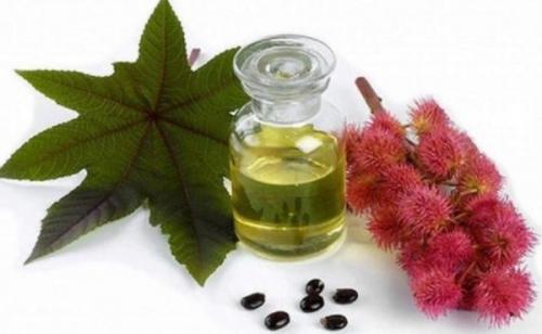 Касторовое масло для волос: один ответ на множество бед