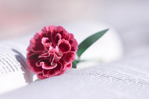 Мудрые СОВЕТЫ замужним женщинам основанные на личном опыте. 10 мудрых советов женщинам, основанных на личном опыте