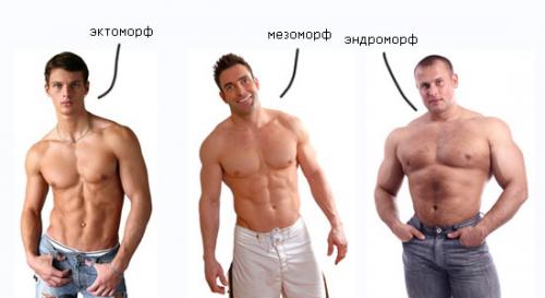 В какое время лучше качаться. Лучшее время для тренировок