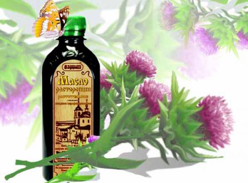 Расторопша и одуванчик для похудения. Расторопша для похудения и вывода токсинов