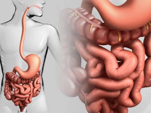 Что будет если пить каждое утро воду.