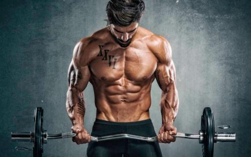 В какое время лучше качаться. Лучшее время для тренировок